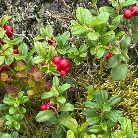 In With House A Panoramic View Vakantiehuis